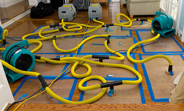 Professional Water Damage Repair technician working in Munford, AL